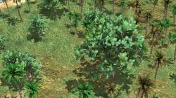  Tropical Set - Vegetation im EEP-Shop kaufen