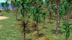  Tropical Set - Vegetation im EEP-Shop kaufen
