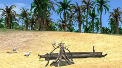  Tropical Set - Strandgut im EEP-Shop kaufen