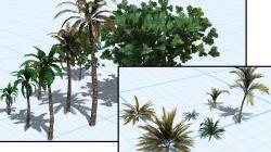 Tropical Set - Sparset im EEP-Shop kaufen Bild 6