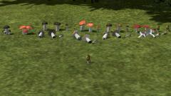 Pilz-Sortiment Set 1 im EEP-Shop kaufen Bild 6
