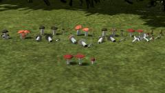 Pilz-Sortiment Set 1 im EEP-Shop kaufen Bild 6