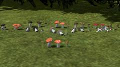 Pilz-Sortiment Set 1 im EEP-Shop kaufen Bild 6