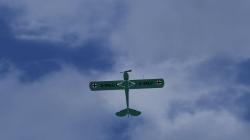 Fieseler Storch D-EKLU im EEP-Shop kaufen Bild 6