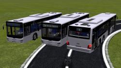 MAN Citybus Lions Weiss im EEP-Shop kaufen Bild 6