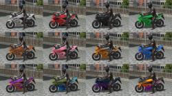 Motorrad Kawasaki Ninja 250R im EEP-Shop kaufen Bild 12