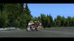 Honda Goldwing GL1500 im EEP-Shop kaufen Bild 6