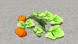 Bauerngarten, Pflanzen, Zaunteile,  im EEP-Shop kaufen Bild 6