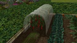  Gem�segarten (Garten Set 4) im EEP-Shop kaufen
