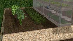 Gem�segarten (Garten Set 4) im EEP-Shop kaufen Bild 6