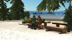Snowmobile / Motorschlitten im EEP-Shop kaufen Bild 6