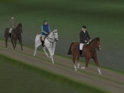  Reitsport Set 1 im EEP-Shop kaufen