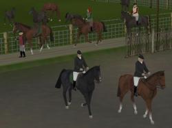  Reitsport Set 2 im EEP-Shop kaufen