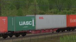  Vierachsiger Containertragwagen Sgn im EEP-Shop kaufen