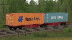  Zweiteiliger Containertragwagen Sgg im EEP-Shop kaufen