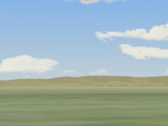 Steppe im Fr�hling - Anlagen-Horizo im EEP-Shop kaufen Bild 6