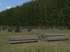 Waldzubeh�r im EEP-Shop kaufen Bild 6