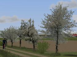 Fr�hlingsvegetation im EEP-Shop kaufen Bild 6