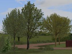 Fr�hlingsvegetation im EEP-Shop kaufen Bild 6