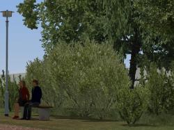 Vegetations-Sparset im EEP-Shop kaufen Bild 6
