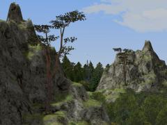  Bergformation und Bergkiefern im Se im EEP-Shop kaufen