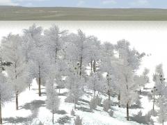 Winterbaumset im EEP-Shop kaufen Bild 6