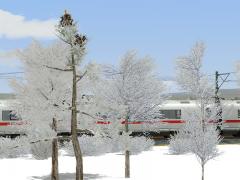 Wintervegetation Sparset im EEP-Shop kaufen Bild 6