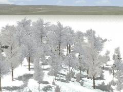 Wintervegetation Sparset im EEP-Shop kaufen Bild 6