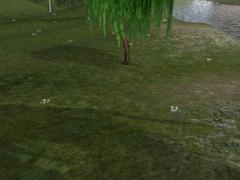 Gemischte Vegetation im EEP-Shop kaufen Bild 6