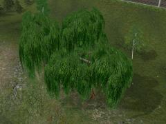 Gemischte Vegetation im EEP-Shop kaufen Bild 6