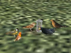  Futterhaus mit Vogel im EEP-Shop kaufen