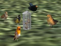 Futterhaus mit Vogel im EEP-Shop kaufen Bild 6