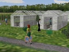 Gew�chshaus - Set  im EEP-Shop kaufen Bild 6