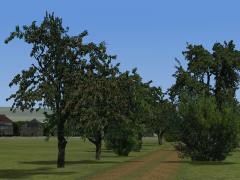  Sommerb�ume und -b�sche im EEP-Shop kaufen