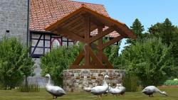 Dorfkirche und Dorfbrunnen im EEP-Shop kaufen Bild 6