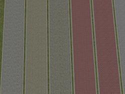  Gehwege als Splines im EEP-Shop kaufen