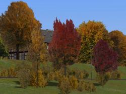 Herbstvegetation bunt im EEP-Shop kaufen Bild 6