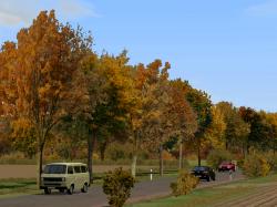 Herbstvegetation bunt im EEP-Shop kaufen Bild 6