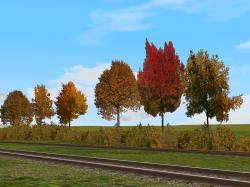 Herbstvegetation bunt im EEP-Shop kaufen Bild 12