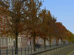  Herbstvegetation Set 2 im EEP-Shop kaufen
