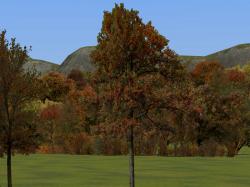  Herbstvegetation Set 2 im EEP-Shop kaufen
