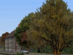  Herbstvegetation Set 2 im EEP-Shop kaufen