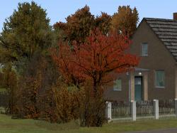 Herbstvegetation Set 2 im EEP-Shop kaufen Bild 6