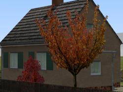 Herbstvegetation Set 2 im EEP-Shop kaufen Bild 6
