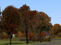 Herbstvegetation Set 2 im EEP-Shop kaufen Bild 6