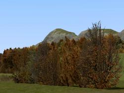 Herbstvegetation Set 2 im EEP-Shop kaufen Bild 6