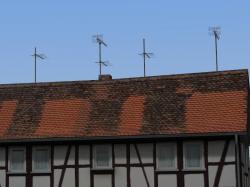 TV-Antennen im EEP-Shop kaufen Bild 6