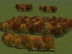  Herbstb�ume als Gruppen und Waldmod im EEP-Shop kaufen