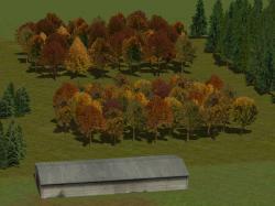  Herbstb�ume als Gruppen und Waldmod im EEP-Shop kaufen