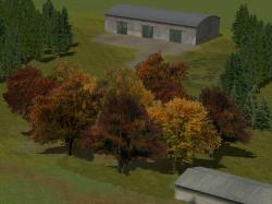 Herbstb�ume als Gruppen und Waldmod im EEP-Shop kaufen